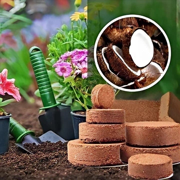 CocoBloom – Coir Compost Discs for Vibrant, Healthy Growth (Pack of 10)